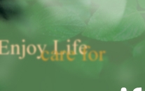 ��샆�j�z�[���h�b�g�R��